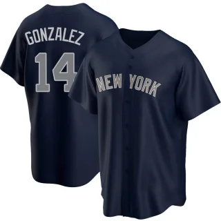 Marwin Gonzalez New York Yankees Fanatics Authentic Game-Used #14